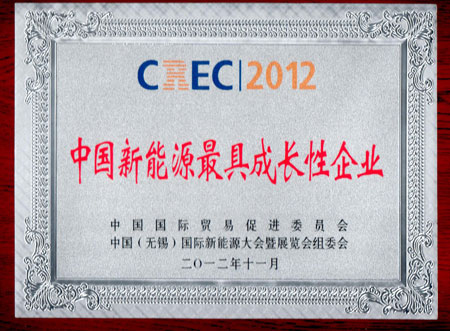 瑞斯頓：中國新能源最具成長性企業